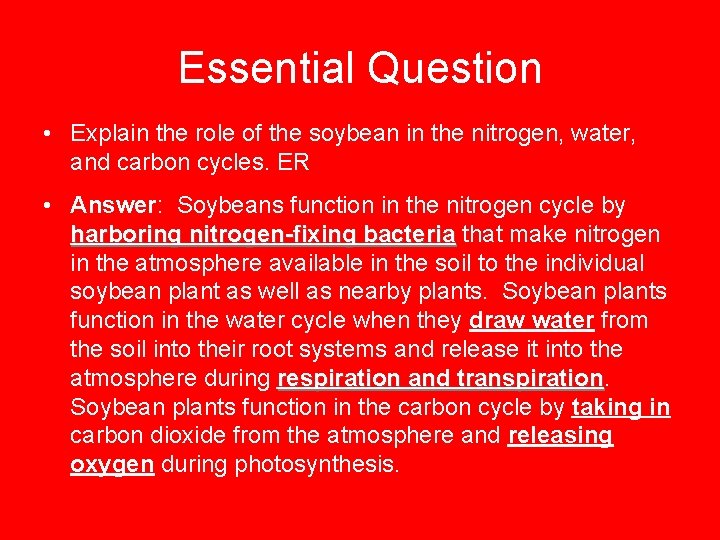 Essential Question • Explain the role of the soybean in the nitrogen, water, and