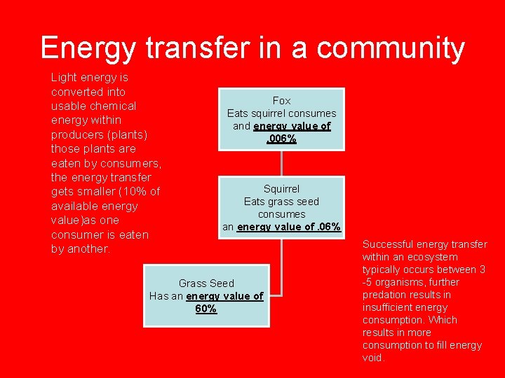 Energy transfer in a community Light energy is converted into usable chemical energy within