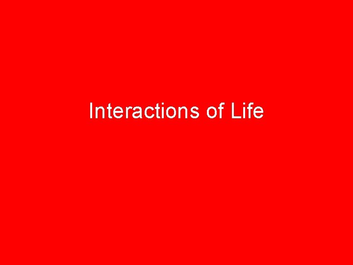 Interactions of Life 