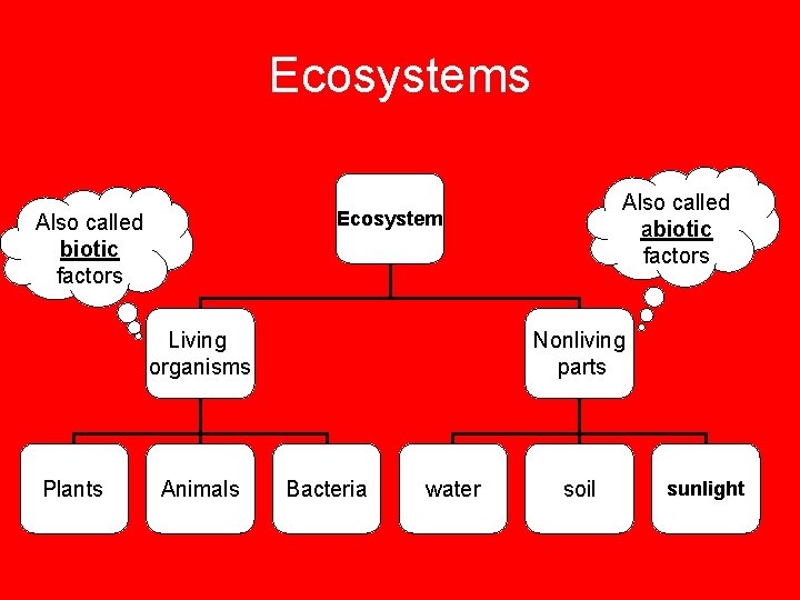 Ecosystems Also called biotic factors Living organisms Plants Also called abiotic factors Ecosystem Animals