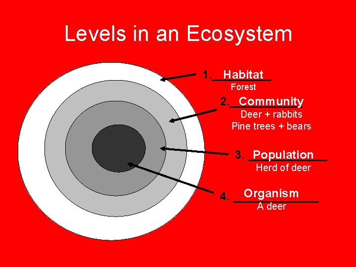 Levels in an Ecosystem 1. _____ Habitat Forest 2. ______ Community Deer + rabbits