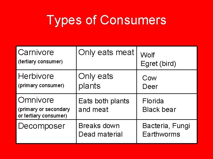 Types of Consumers Carnivore (tertiary consumer) Herbivore (primary consumer) Omnivore (primary or secondary or