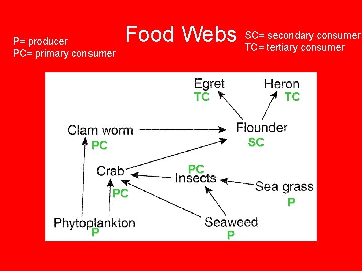 P= producer PC= primary consumer Food Webs SC= secondary consumer TC= tertiary consumer TC