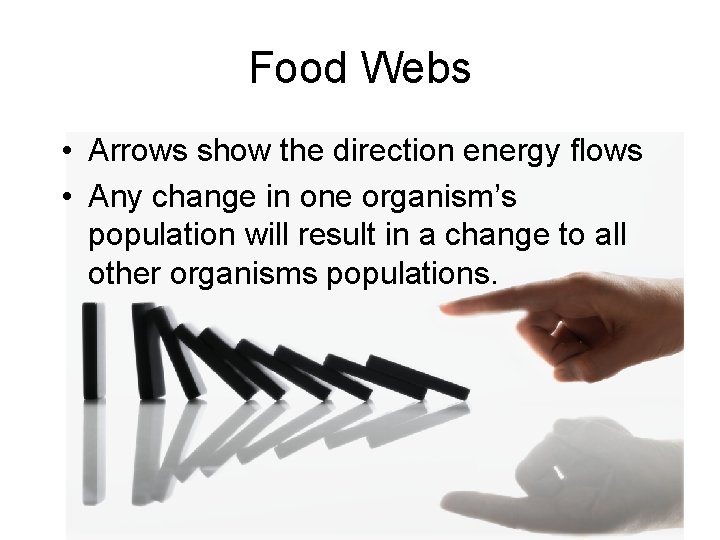 Food Webs • Arrows show the direction energy flows • Any change in one