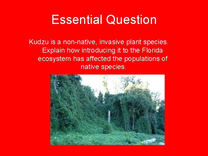 Essential Question Kudzu is a non-native, invasive plant species. Explain how introducing it to