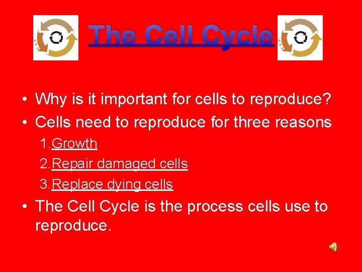 The Cell Cycle • Why is it important for cells to reproduce? • Cells