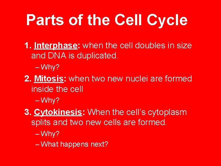 Parts of the Cell Cycle 1. Interphase: when the cell doubles in size and