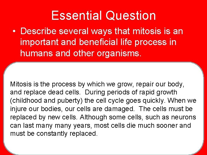 Essential Question • Describe several ways that mitosis is an important and beneficial life