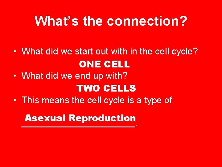 What’s the connection? • What did we start out with in the cell cycle?