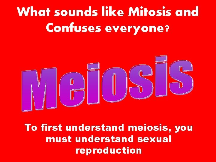 What sounds like Mitosis and Confuses everyone? To first understand meiosis, you must understand