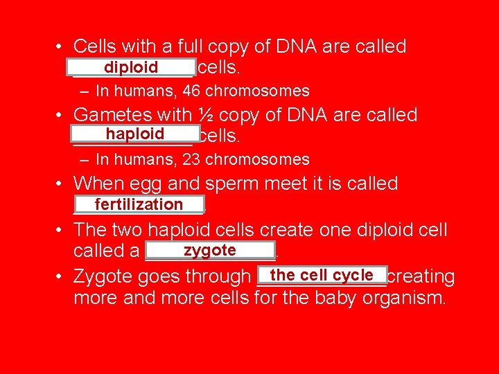  • Cells with a full copy of DNA are called diploid ______ cells.