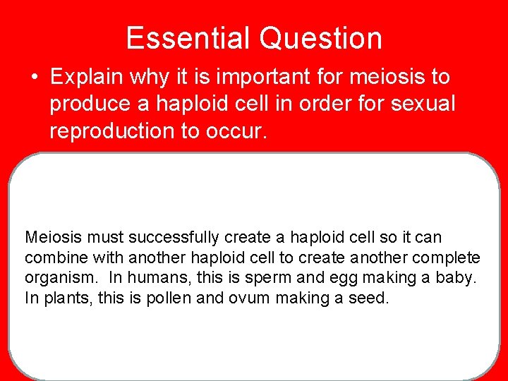 Essential Question • Explain why it is important for meiosis to produce a haploid