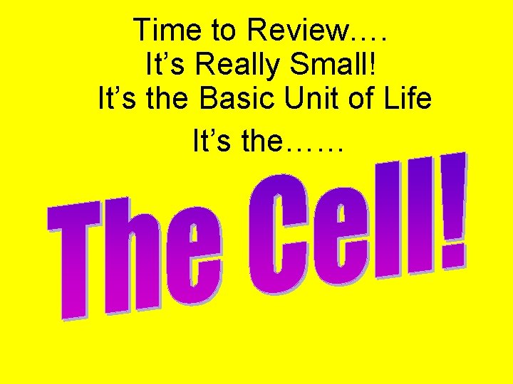 Time to Review…. It’s Really Small! It’s the Basic Unit of Life It’s the……