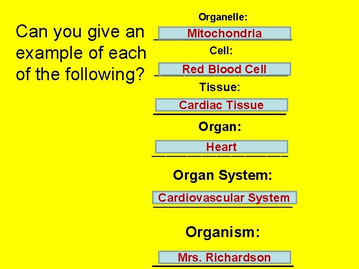Can you give an example of each of the following? Organelle: Mitochondria _____________ Cell: