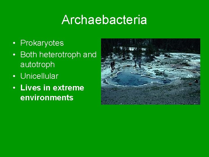 Archaebacteria • Prokaryotes • Both heterotroph and autotroph • Unicellular • Lives in extreme