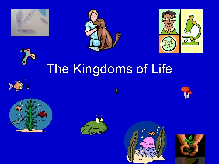 The Kingdoms of Life 