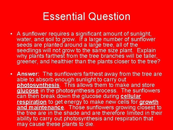 Essential Question • A sunflower requires a significant amount of sunlight, water, and soil