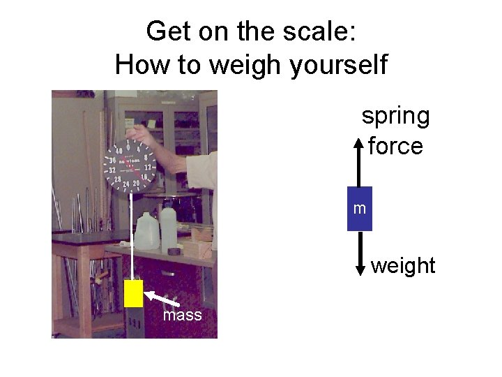 Get on the scale: How to weigh yourself spring force m weight mass 