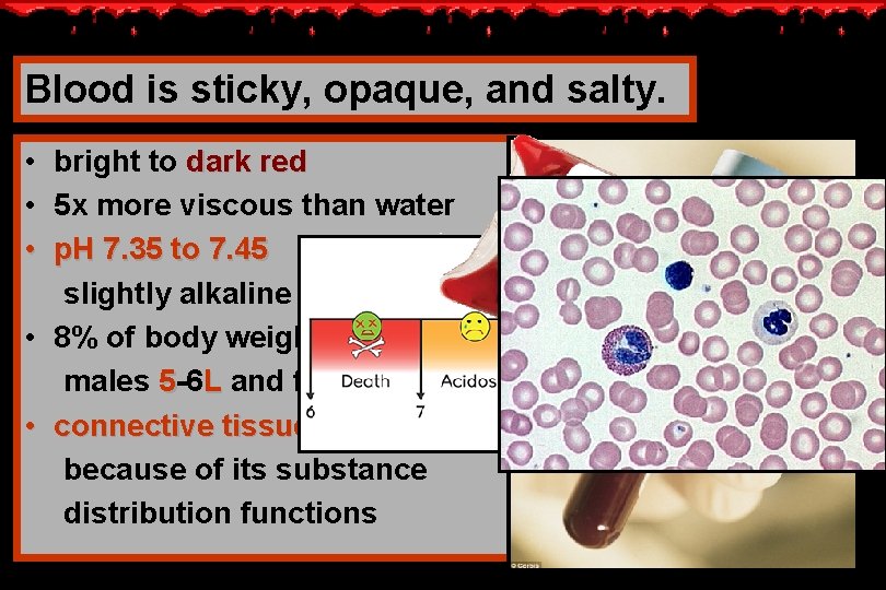 Blood is sticky, opaque, and salty. • bright to dark red • 5 x Blood is sticky, opaque, and salty. • bright to dark red • 5 x
