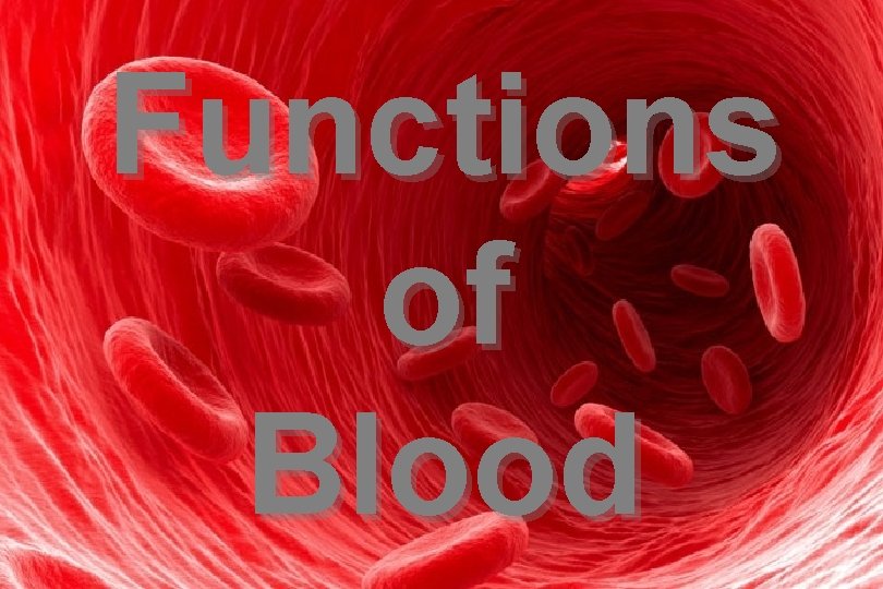 Functions of Blood Functions of Blood