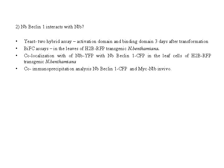 2) Nb Beclin 1 interacts with Nlb? • • Yeast- two hybrid assay –