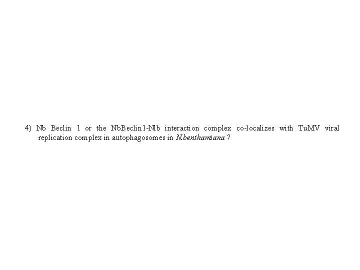 4) Nb Beclin 1 or the Nb. Beclin 1 -Nlb interaction complex co-localizes with