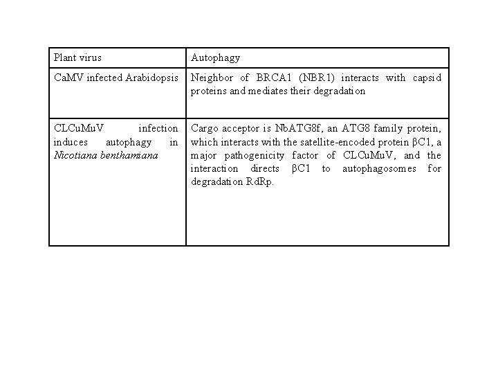 Plant virus Autophagy Ca. MV infected Arabidopsis Neighbor of BRCA 1 (NBR 1) interacts