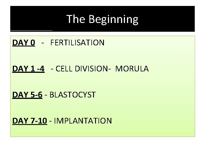 The Beginning DAY 0 - FERTILISATION DAY 1 -4 - CELL DIVISION- MORULA DAY