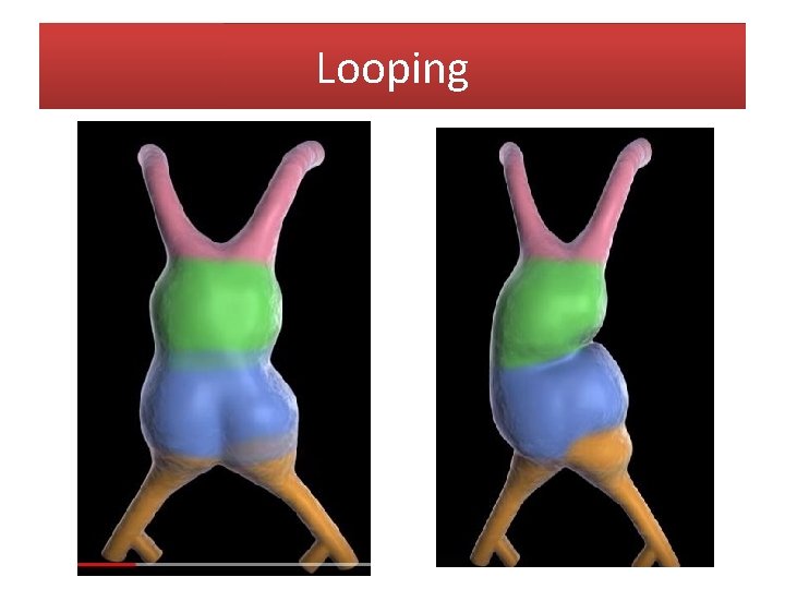 Looping 