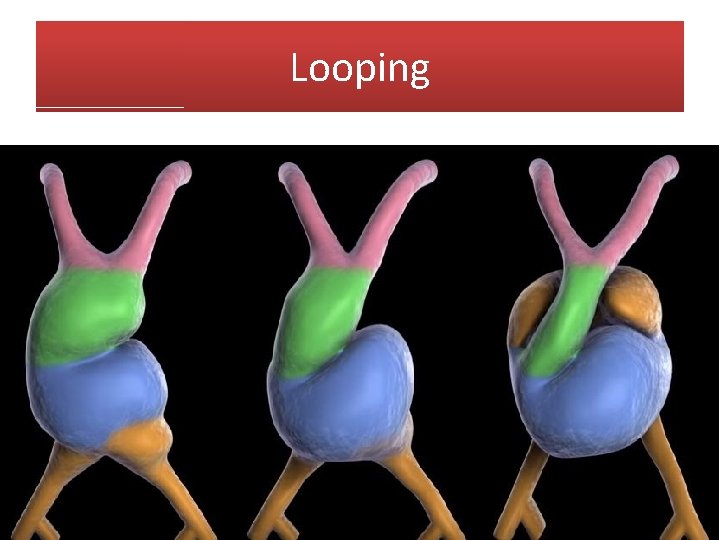 Looping 
