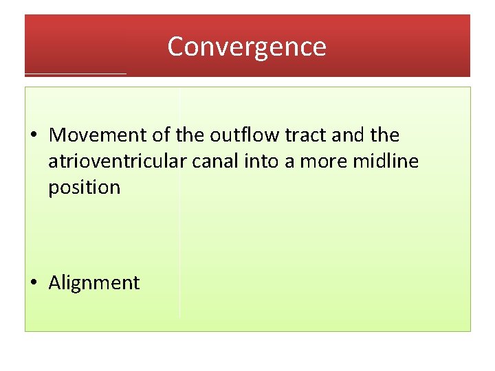 Convergence • Movement of the outflow tract and the atrioventricular canal into a more