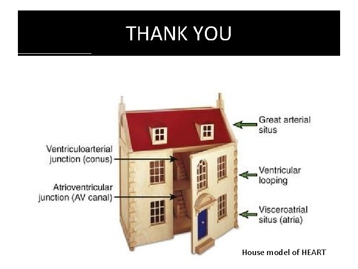 THANK YOU House model of HEART 