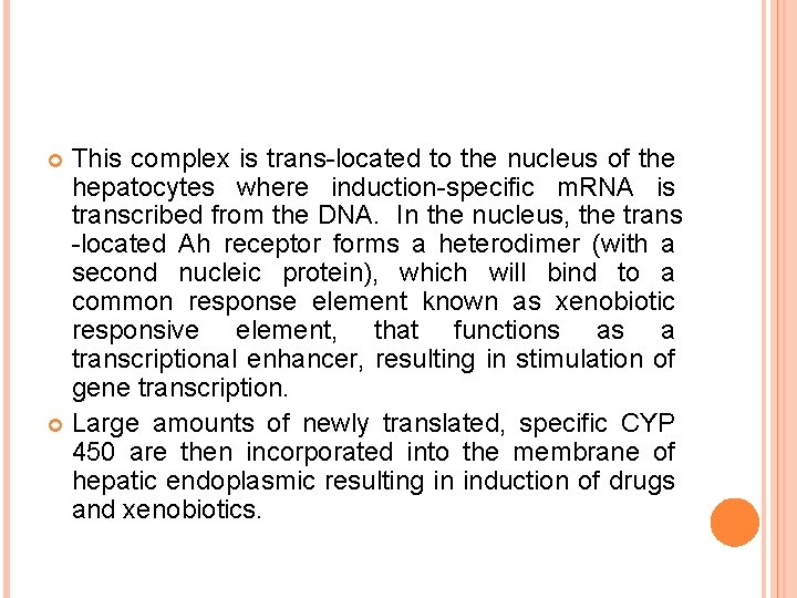 This complex is trans-located to the nucleus of the hepatocytes where induction-specific m. RNA