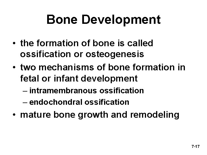 Bone Development • the formation of bone is called ossification or osteogenesis • two