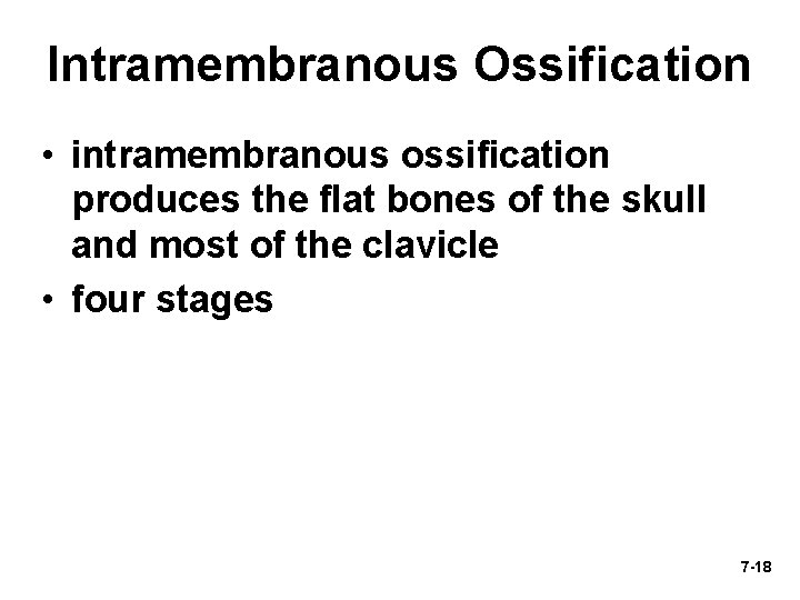 Intramembranous Ossification • intramembranous ossification produces the flat bones of the skull and most