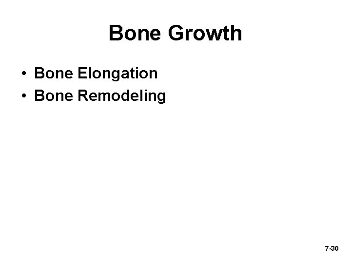 Bone Growth • Bone Elongation • Bone Remodeling 7 -30 