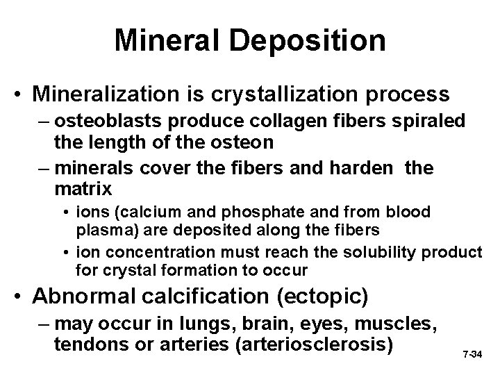 Mineral Deposition • Mineralization is crystallization process – osteoblasts produce collagen fibers spiraled the