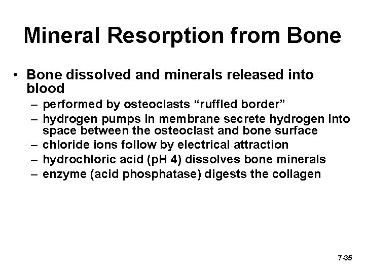 Mineral Resorption from Bone • Bone dissolved and minerals released into blood – performed