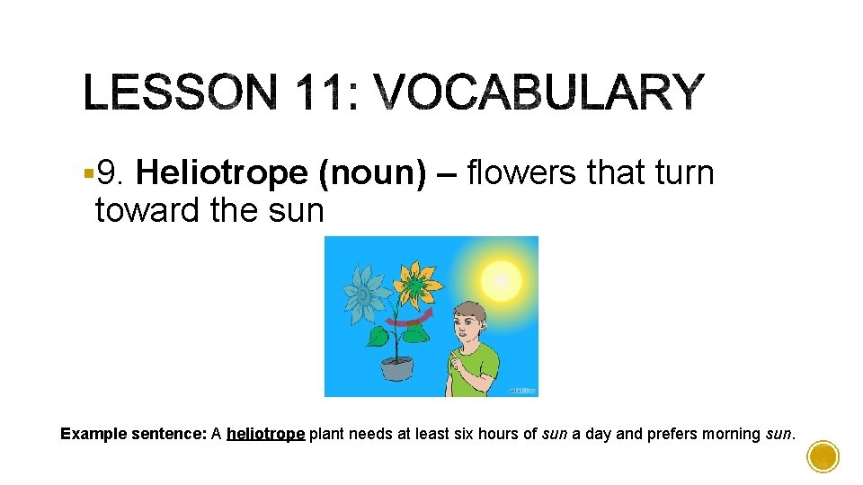 § 9. Heliotrope (noun) – flowers that turn toward the sun Example sentence: A
