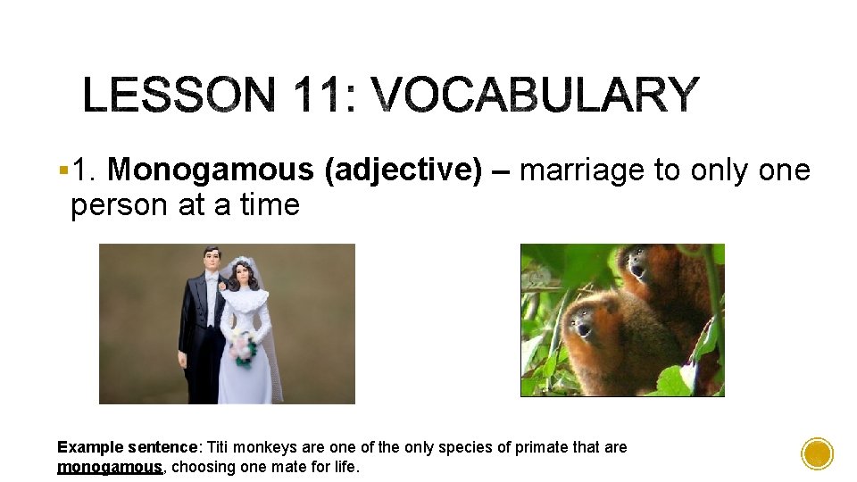 § 1. Monogamous (adjective) – marriage to only one person at a time Example