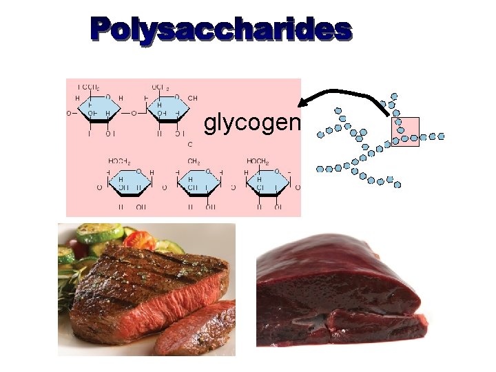 glycogen 