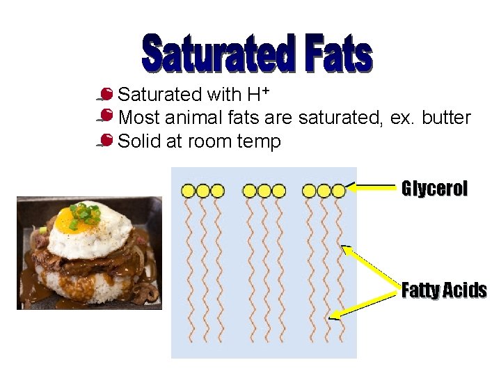  • Saturated with H+ • Most animal fats are saturated, ex. butter •