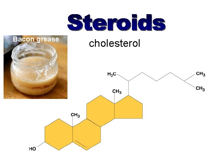 Bacon grease cholesterol 
