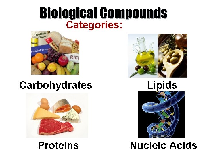 Biological Compounds Categories: Carbohydrates Lipids Proteins Nucleic Acids 