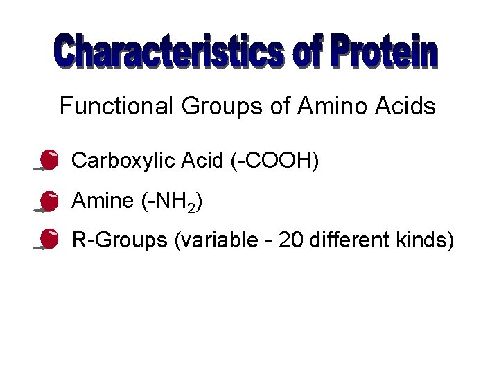 Functional Groups of Amino Acids • Carboxylic Acid (-COOH) • Amine (-NH 2) •