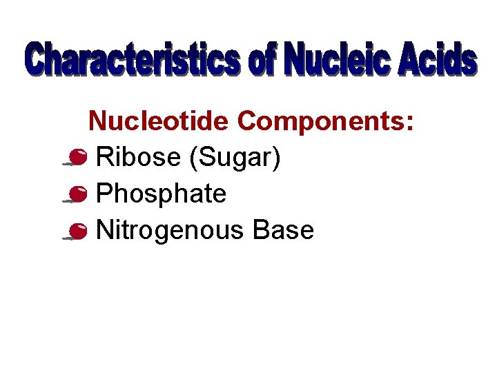 Nucleotide Components: Ribose (Sugar) Phosphate Nitrogenous Base 