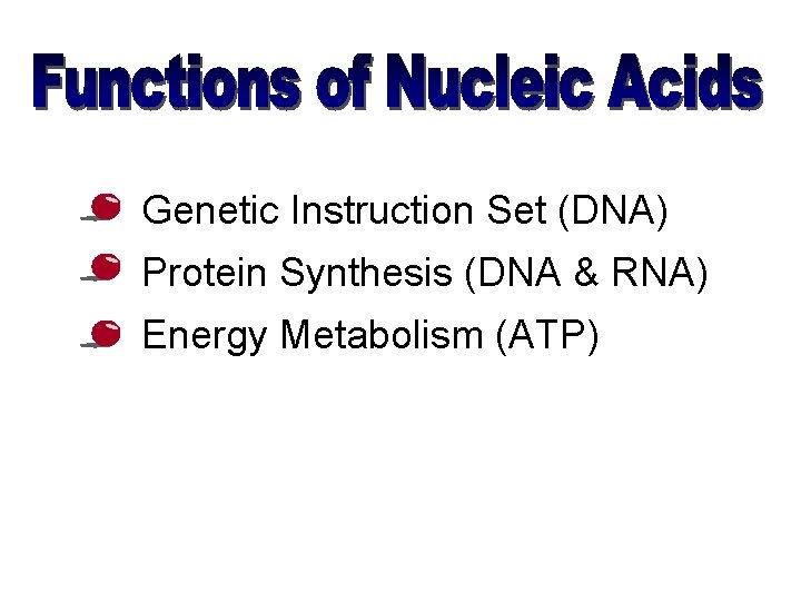  • Genetic Instruction Set (DNA) • Protein Synthesis (DNA & RNA) • Energy