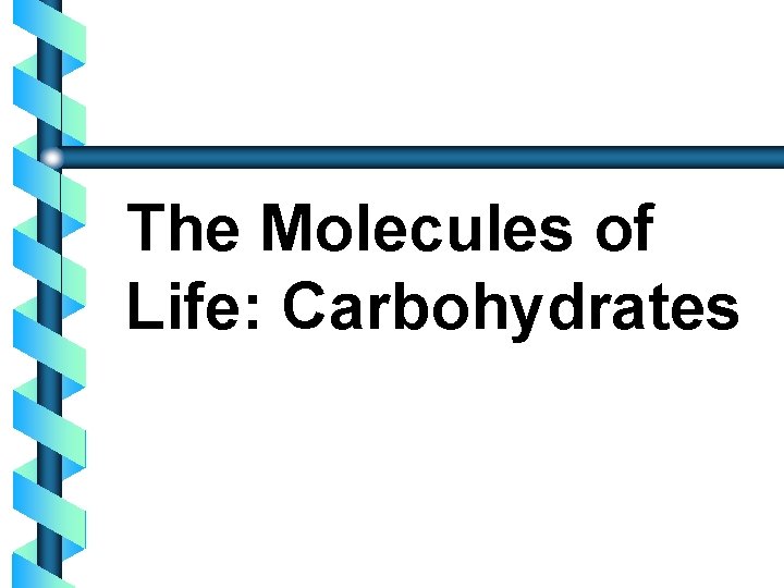 The Molecules of Life: Carbohydrates 