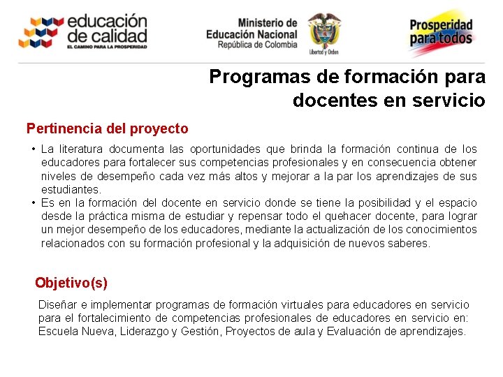 Programas de formación para docentes en servicio Pertinencia del proyecto • La literatura documenta