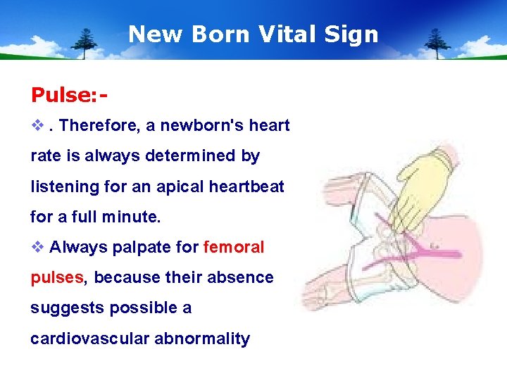 New Born Vital Sign Pulse: v. Therefore, a newborn's heart rate is always determined